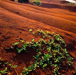 金亨泰拜访《黑神话：悟空》《影之刃零》团队